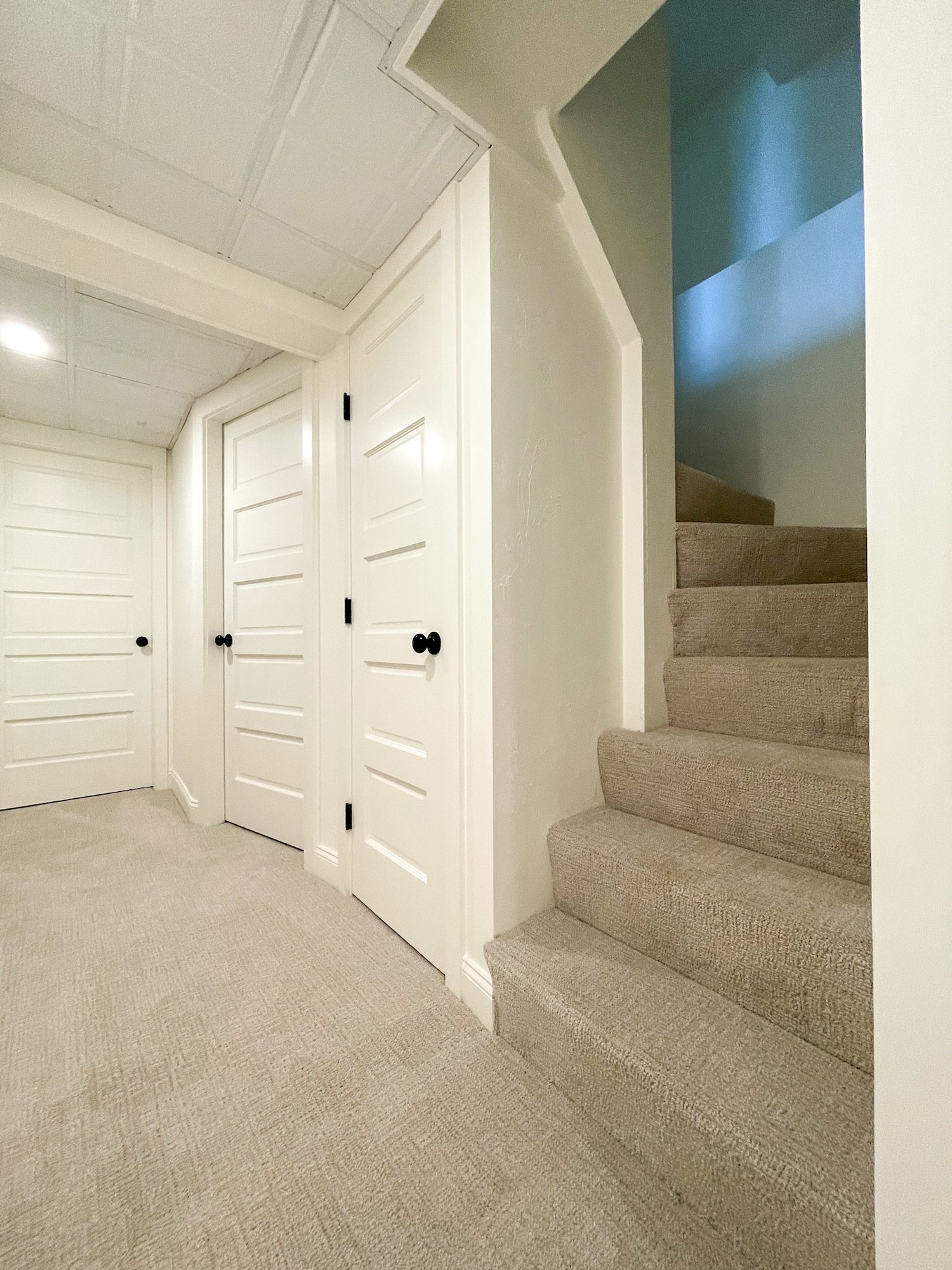 Basement Remodeling