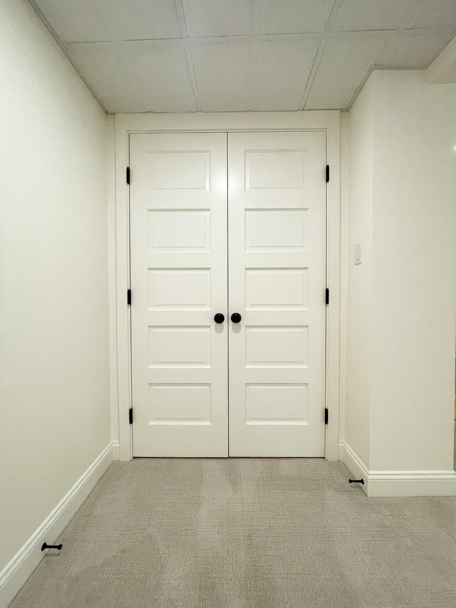 Basement Remodeling