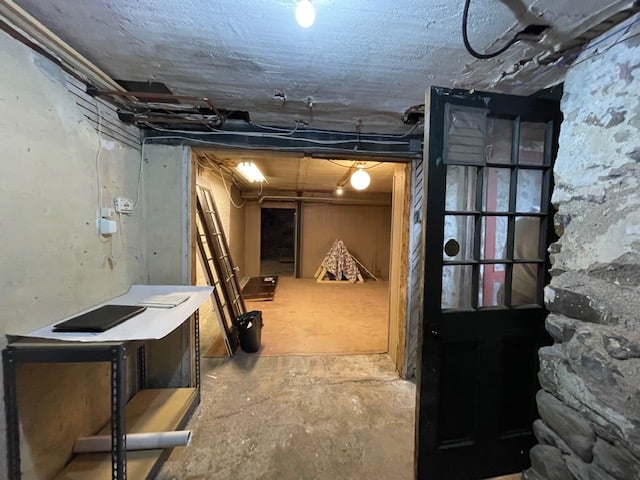 Basement: No Natural Light? No Problem!